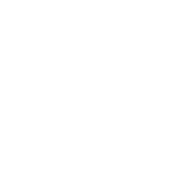 Prompt Service